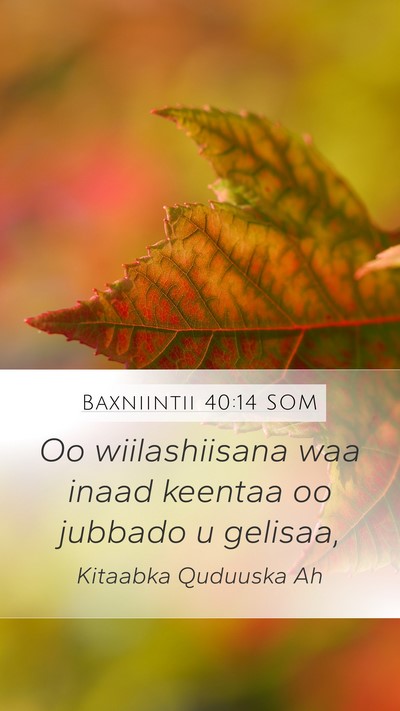 Baxniintii 40:14 SOM Bible Verse Image