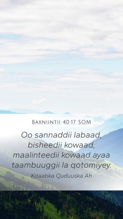 Baxniintii 40:17 SOM Bible Verse Image