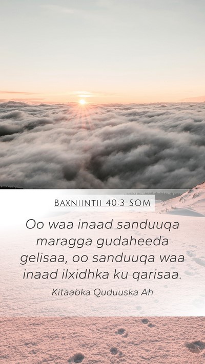 Baxniintii 40:3 SOM Bible Verse Image