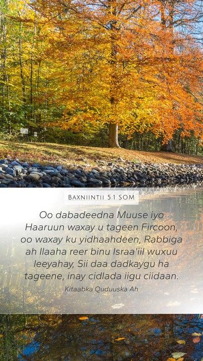 Baxniintii 5:1 SOM Bible Verse Image