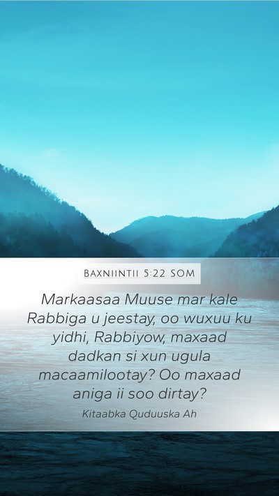 Baxniintii 5:22 SOM Bible Verse Image