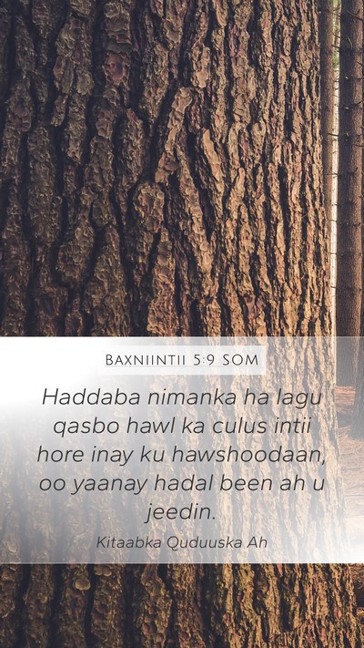 Baxniintii 5:9 SOM Bible Verse Image
