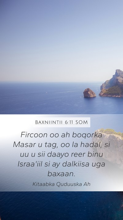 Baxniintii 6:11 SOM Mobile Phone Wallpaper - Fircoon oo ah boqorka Masar u tag, oo la hadal, - Mobile Bible Verse Wallpaper