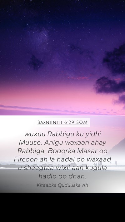 Baxniintii 6:29 SOM Bible Verse Image