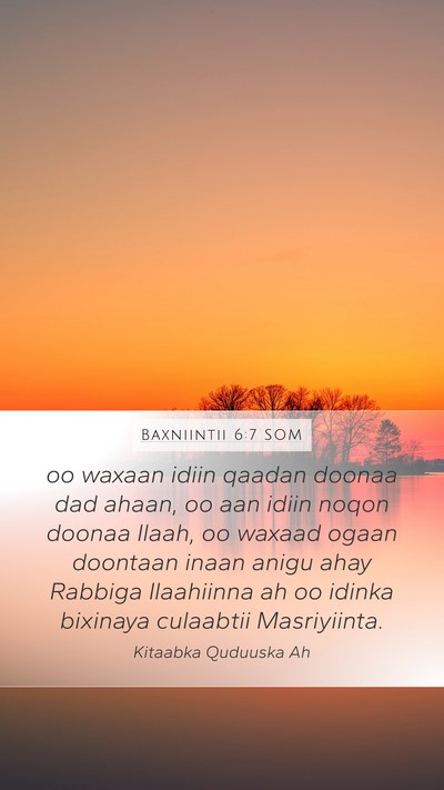 Baxniintii 6:7 SOM Bible Verse Image