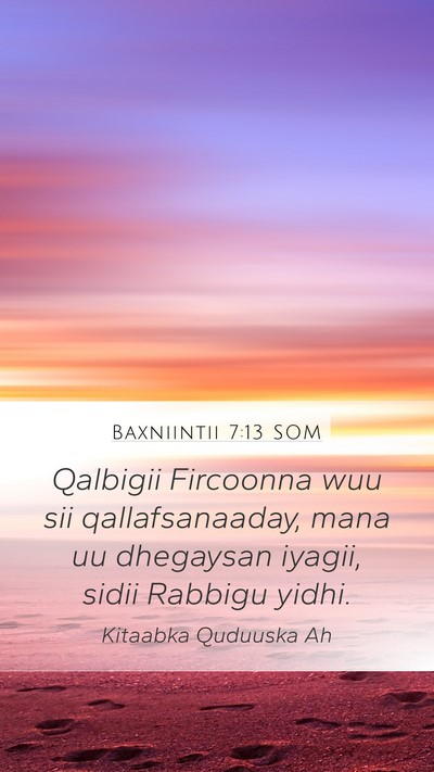 Baxniintii 7:13 SOM Bible Verse Image