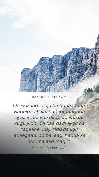 Baxniintii 7:16 SOM Bible Verse Image