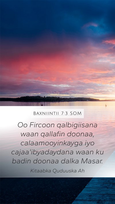 Baxniintii 7:3 SOM Bible Verse Image