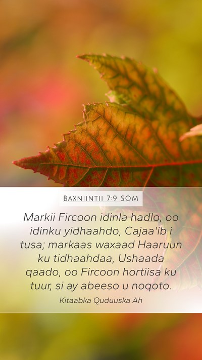 Baxniintii 7:9 SOM Mobile Phone Wallpaper - Markii Fircoon idinla hadlo, oo idinku yidhaahdo, - Mobile Bible Verse Wallpaper