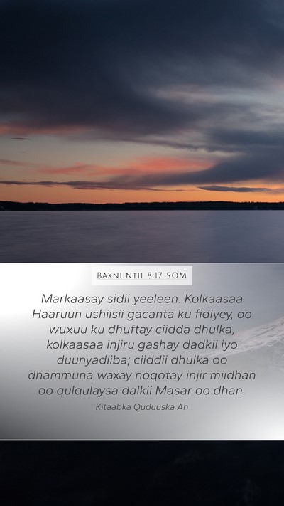 Baxniintii 8:17 SOM Bible Verse Image