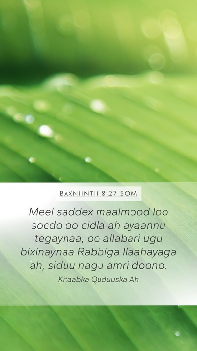 Baxniintii 8:27 SOM Mobile Phone Wallpaper - Meel saddex maalmood loo socdo oo cidla ah - Mobile Bible Verse Wallpaper
