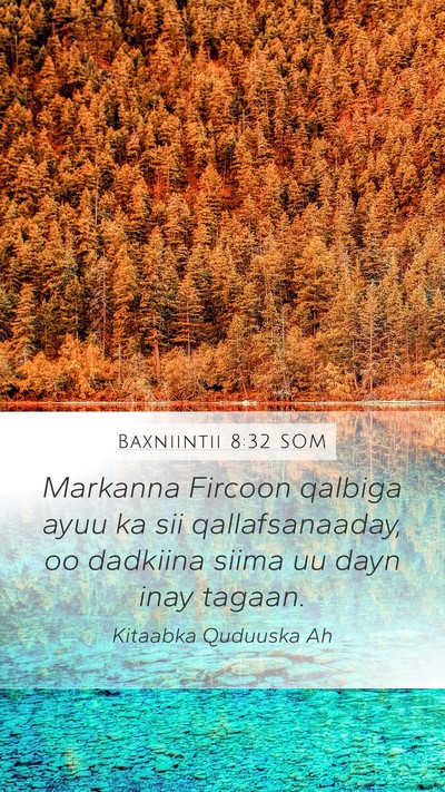 Baxniintii 8:32 SOM Bible Verse Image
