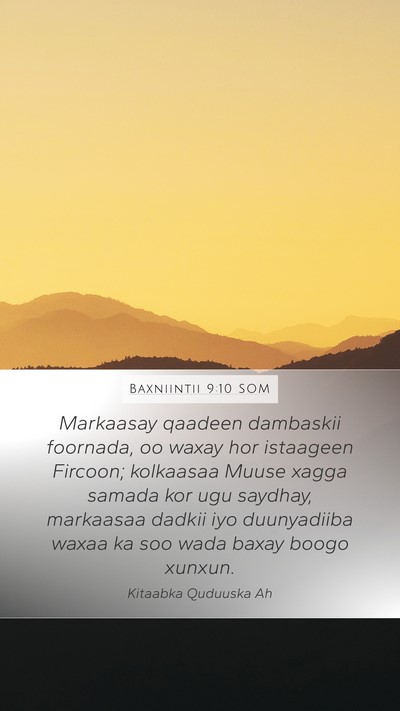 Baxniintii 9:10 SOM Bible Verse Image