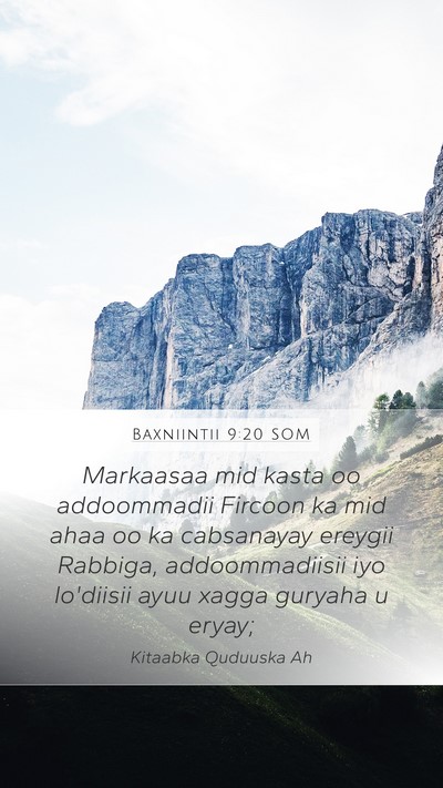 Baxniintii 9:20 SOM Bible Verse Image