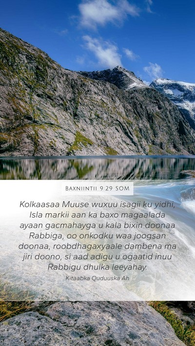 Baxniintii 9:29 SOM Bible Verse Image