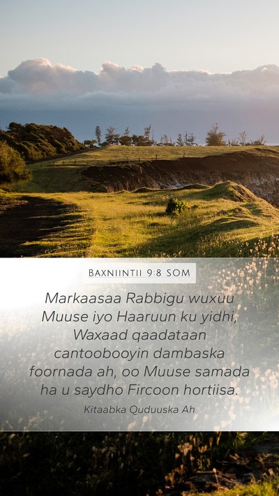 Baxniintii 9:8 SOM Bible Verse Image