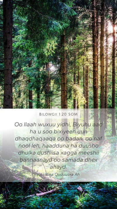Bilowgii 1:20 SOM Bible Verse Image