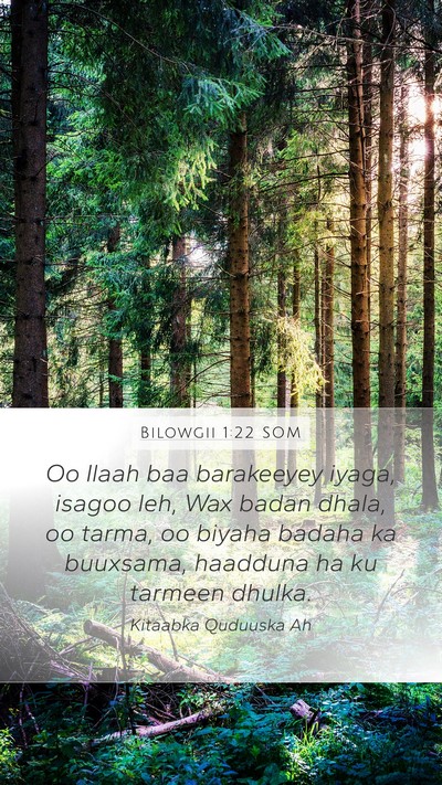 Bilowgii 1:22 SOM Bible Verse Image