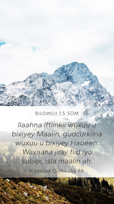 Bilowgii 1:5 SOM Bible Verse Image