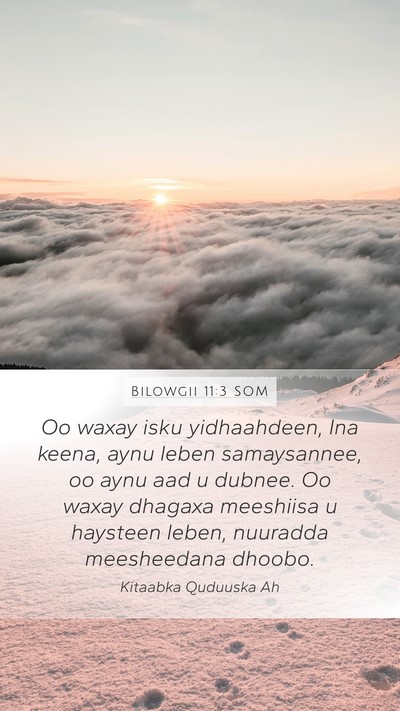 Bilowgii 11:3 SOM Bible Verse Image