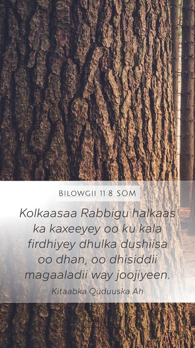 Bilowgii 11:8 SOM Mobile Phone Wallpaper - Kolkaasaa Rabbigu halkaas ka kaxeeyey oo ku kala - Mobile Bible Verse Wallpaper