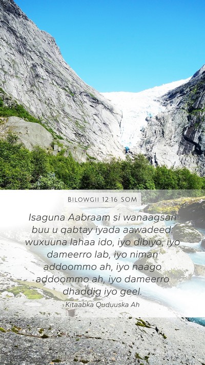 Bilowgii 12:16 SOM Bible Verse Image