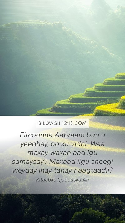 Bilowgii 12:18 SOM Bible Verse Image