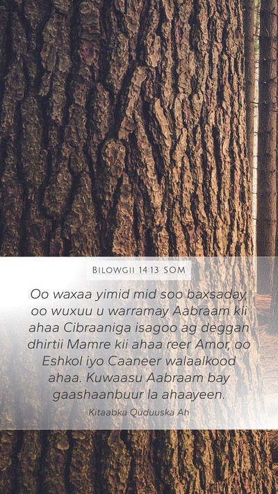 Bilowgii 14:13 SOM Bible Verse Image