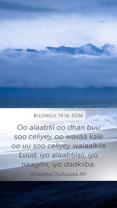 Bilowgii 14:16 SOM Bible Verse Image