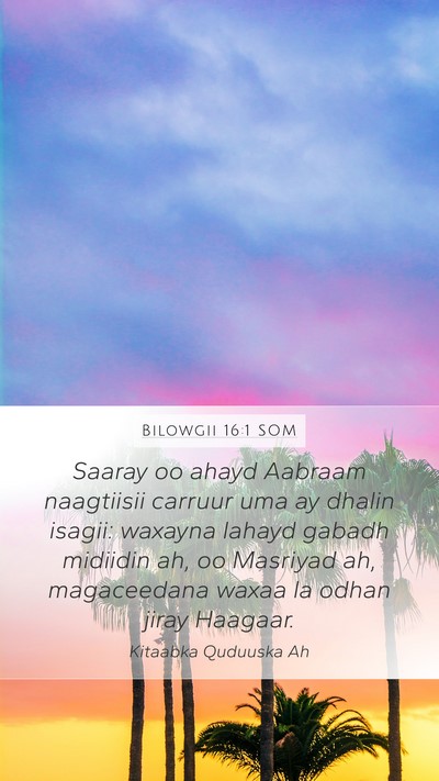Bilowgii 16:1 SOM Bible Verse Image