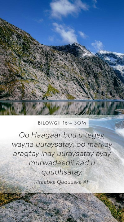 Bilowgii 16:4 SOM Bible Verse Image