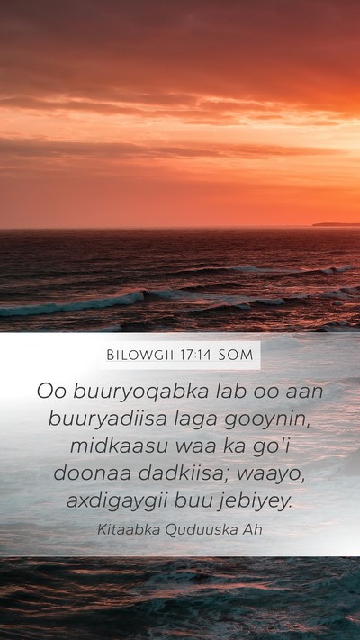 Bilowgii 17:14 SOM Mobile Phone Wallpaper - Oo buuryoqabka lab oo aan buuryadiisa laga - Mobile Bible Verse Wallpaper