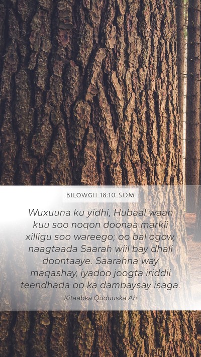 Bilowgii 18:10 SOM Bible Verse Image