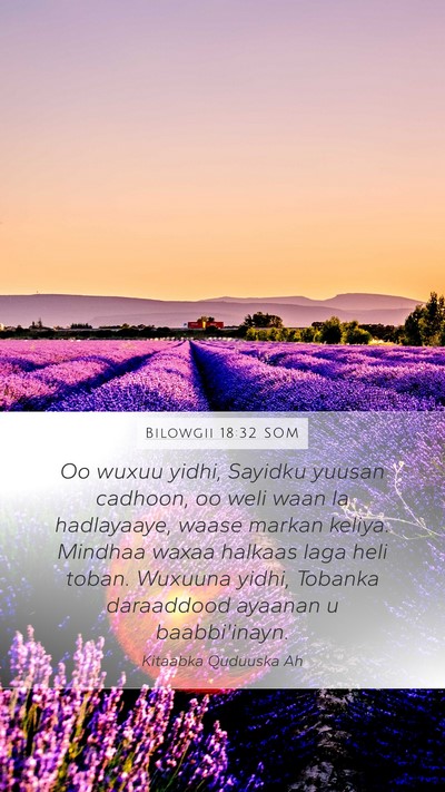 Bilowgii 18:32 SOM Bible Verse Image