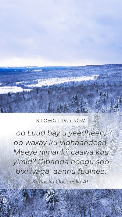 Bilowgii 19:5 SOM Mobile Phone Wallpaper - oo Luud bay u yeedheen, oo waxay ku yidhaahdeen, - Mobile Bible Verse Wallpaper