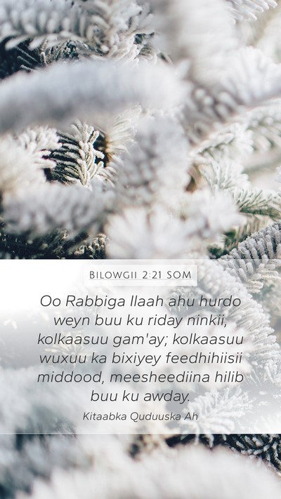Bilowgii 2:21 SOM Bible Verse Image
