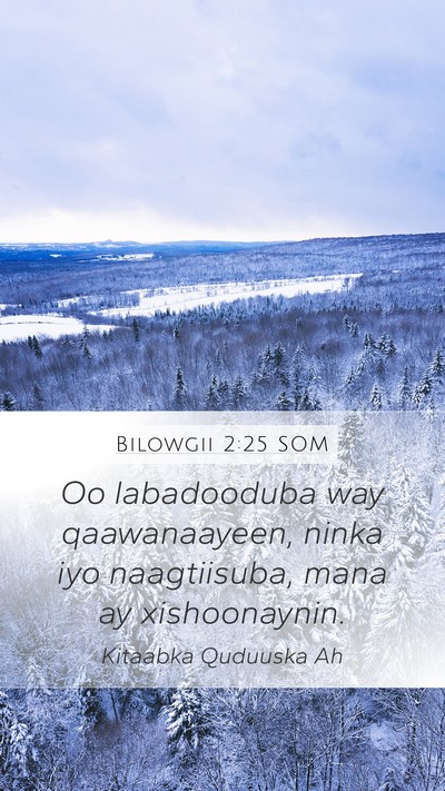 Bilowgii 2:25 SOM Bible Verse Image