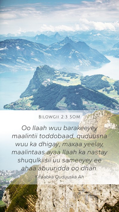 Bilowgii 2:3 SOM Bible Verse Image