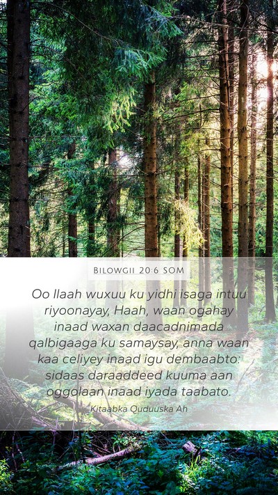 Bilowgii 20:6 SOM Bible Verse Image