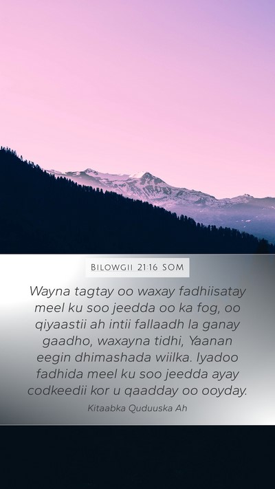 Bilowgii 21:16 SOM Mobile Phone Wallpaper - Wayna tagtay oo waxay fadhiisatay meel ku soo - Mobile Bible Verse Wallpaper