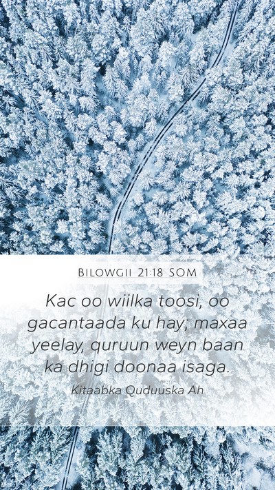 Bilowgii 21:18 SOM Bible Verse Image