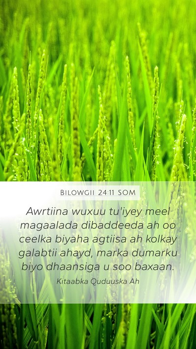 Bilowgii 24:11 SOM Bible Verse Image