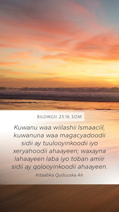 Bilowgii 25:16 SOM Bible Verse Image
