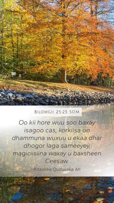 Bilowgii 25:25 SOM Bible Verse Image