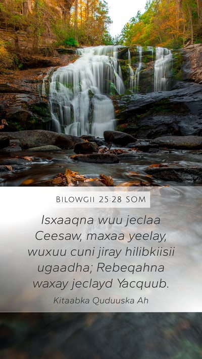 Bilowgii 25:28 SOM Bible Verse Image