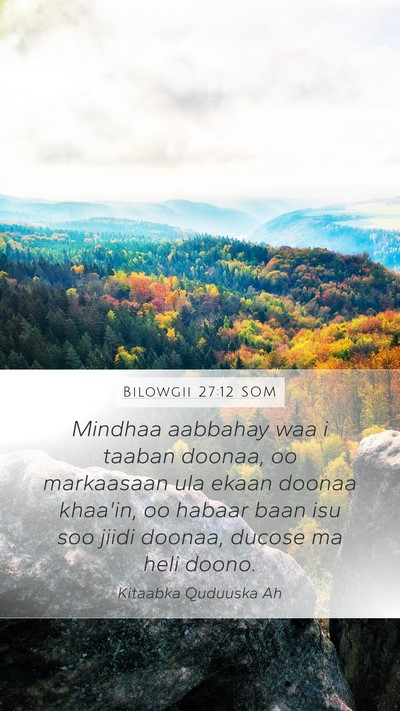 Bilowgii 27:12 SOM Bible Verse Image
