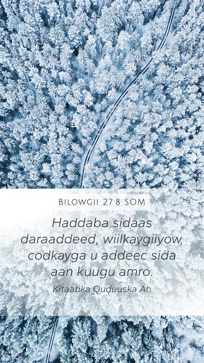 Bilowgii 27:8 SOM Bible Verse Image