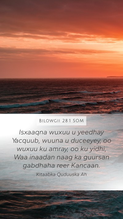 Bilowgii 28:1 SOM Bible Verse Image