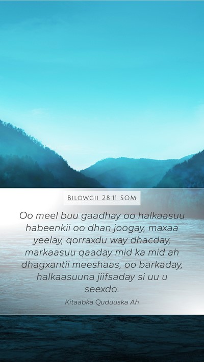 Bilowgii 28:11 SOM Mobile Phone Wallpaper - Oo meel buu gaadhay oo halkaasuu habeenkii oo - Mobile Bible Verse Wallpaper