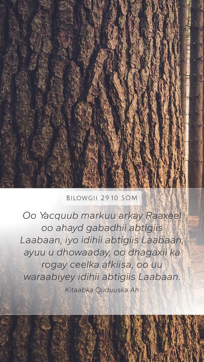 Bilowgii 29:10 SOM Mobile Phone Wallpaper - Oo Yacquub markuu arkay Raaxeel oo ahayd gabadhii - Mobile Bible Verse Wallpaper